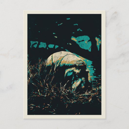 ヒッポ川に近いヒッポタマス ポストカード (正面)