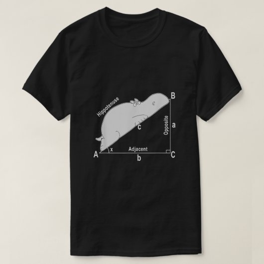 ヒッポ数学の分析おもしろい皮肉ユーモア先生 Tシャツ (デザイン正面)