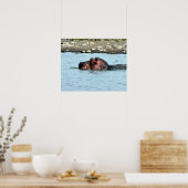 ヒッポ泳ぎ ポスター (キッチン)