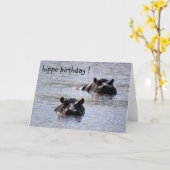 ヒッポ誕生日 カード (黄色い花)