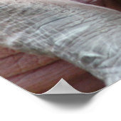 ヒッポ ポスター (角)