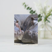 ヒッポ ポストカード (スタンド正面)