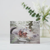 ヒッポ ポストカード (スタンド正面)