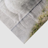 ヒツジとベビーラム 薄葉紙 (詳細)