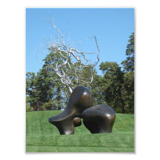 ヒツジと木 フォトプリント            (正面)