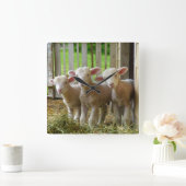 ヒツジによっては正方形の時計が子を産みます スクエア壁時計 (ホーム)