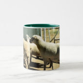 ヒツジのコップ ツートーンマグカップ (中央)