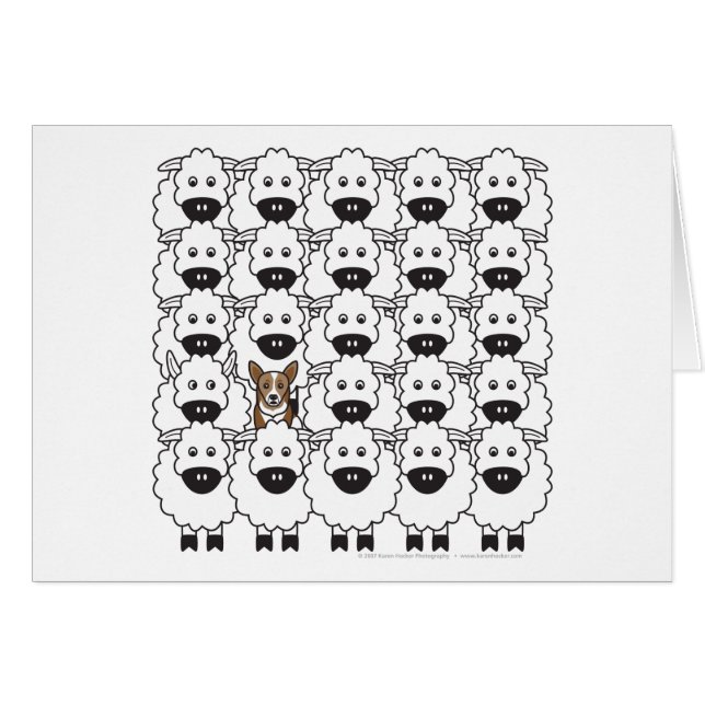 ヒツジのコーギー (正面横)