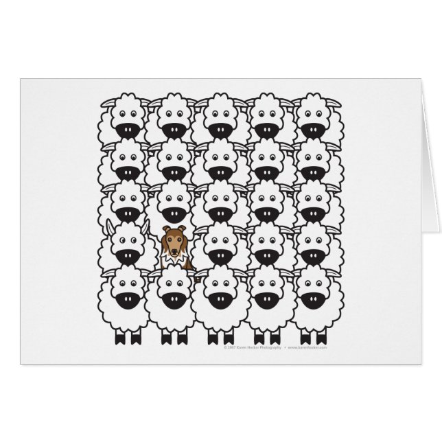 ヒツジのシェットランド・シープドッグ (正面横)