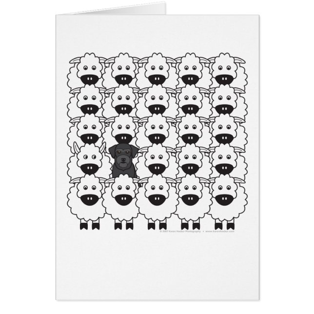 ヒツジのシュナウツァー (正面)