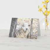 ヒツジのノートカード カード (黄色い花)