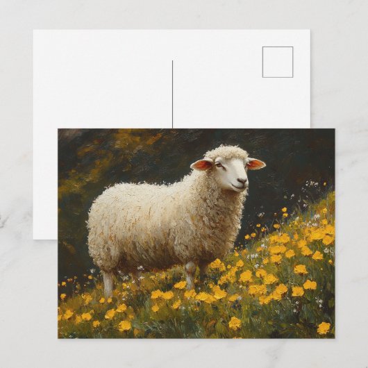 ヒツジのバターカップ絵を描の花 ポストカード (正面/裏面)