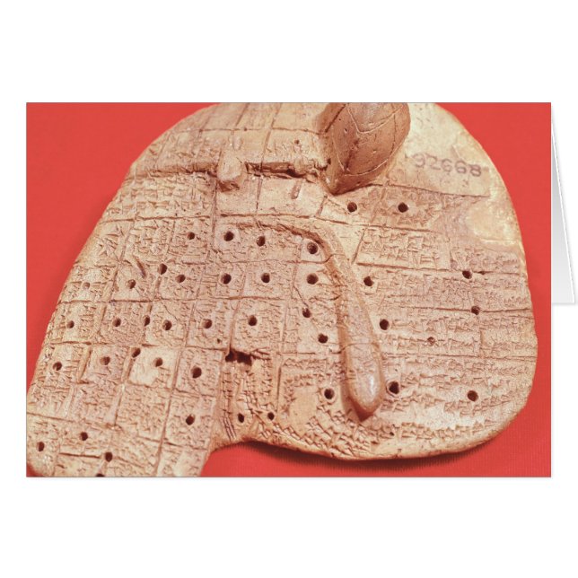 ヒツジのレバーのモデル (正面横)