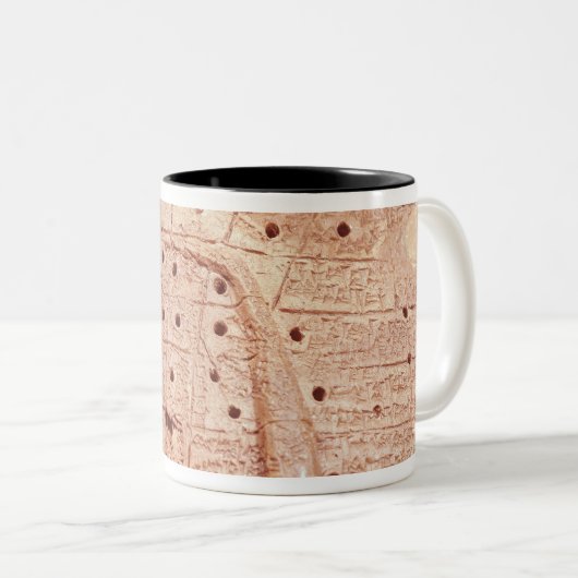 ヒツジのレバーのモデル ツートーンマグカップ (正面右)