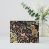 ヒツジの卵- インビテーションポストカード (スタンド正面)