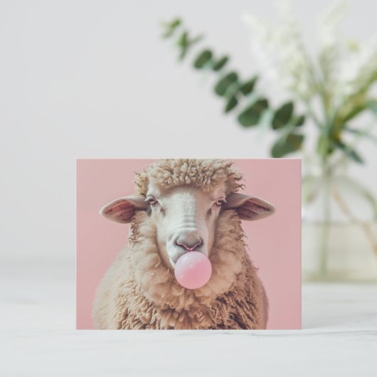 ヒツジの吹ピンクのバブルガムの泡 ポストカード (スタンド正面)