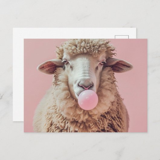 ヒツジの吹ピンクのバブルガムの泡 ポストカード (正面/裏面)