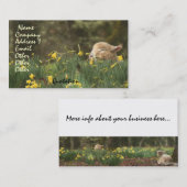 ヒツジの子ヒツジのラムの家畜牧場 名刺 (正面/裏面)