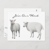 ヒツジの家畜の招待状 招待状 (正面/裏面)