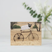 ヒツジの群れ ポストカード (スタンド正面)