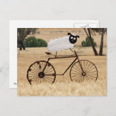 ヒツジの群れ ポストカード (正面/裏面)