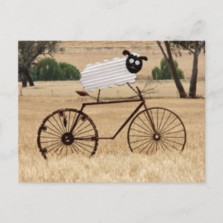 ヒツジの群れ ポストカード