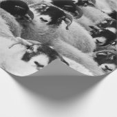 ヒツジの群れ ラッピングペーパー (角)