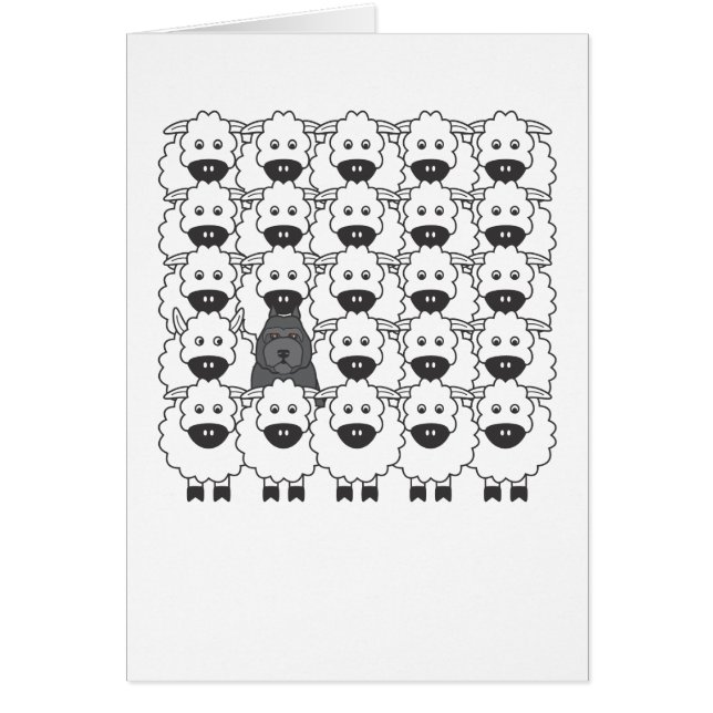 ヒツジのBouvier (正面)