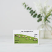 ヒツジは青々とした牧草地で牧草を食べています 名刺 (スタンド正面)