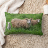 ヒツジ家族の枕 ランバークッション (ブランケット)
