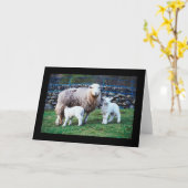 ヒツジ科 カード (黄色い花)