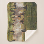 ヒツジ科 シェルパブランケット (正面)