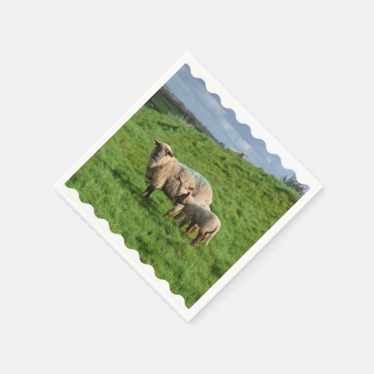 ヒツジ科 スタンダードカクテルナプキン (角)