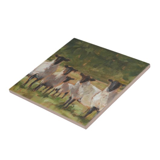 ヒツジ科 タイル (側面)