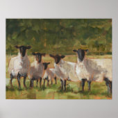 ヒツジ科 ポスター (正面)