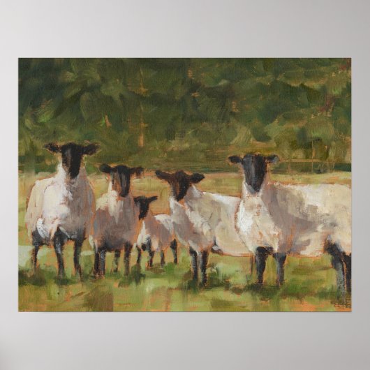 ヒツジ科 ポスター (正面)