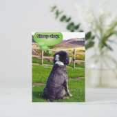 ヒツジ絵はがき ポストカード (スタンド正面)