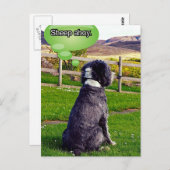 ヒツジ絵はがき ポストカード (正面/裏面)