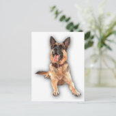 ヒツジ飼が笑った ポストカード (スタンド正面)