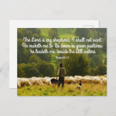 ヒツジ飼とヒツジの群れ ポストカード (正面/裏面)