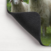 ヒツジ|の農地の群 マウスパッド (コーナー)