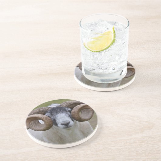 ヒツジ コースター (側面)