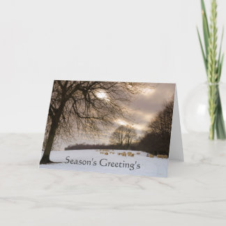 ヒツジ シーズンカード