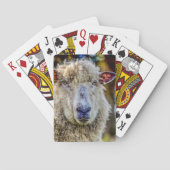 ヒツジ トランプ (裏面)