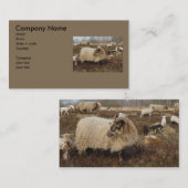 ヒツジ-ヒース分野のヒツジ 名刺 (正面/裏面)