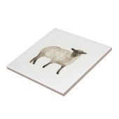 ヒツジ・ファーム・アニマルズウォーター・カラー・ファーミヤードアート タイル (側面)