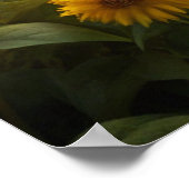 ヒツジ ポスター (角)