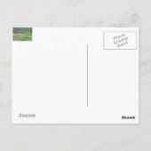 ヒツジ ポストカード (裏面)