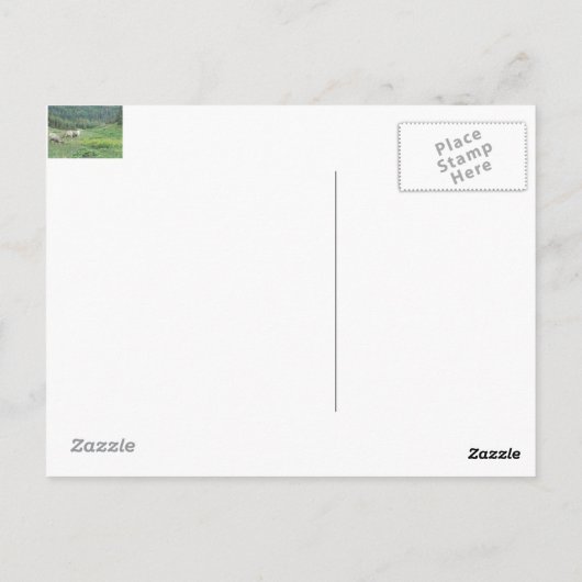 ヒツジ ポストカード (裏面)