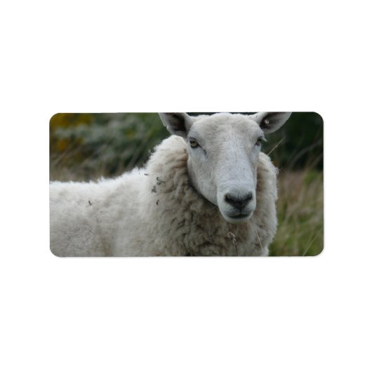 ヒツジ ラベル (正面)